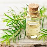 Tea Tree Oil