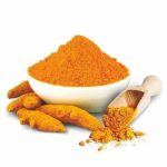 Curcuma longa